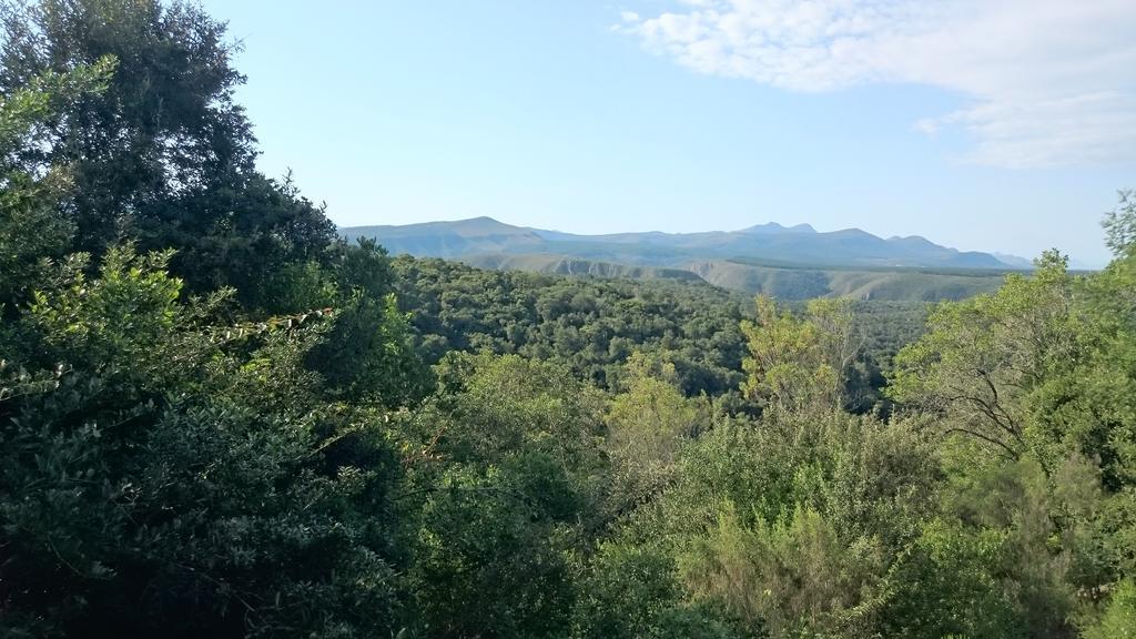 Plettenberg Bay Game Reserve: The Baroness Safari Lodge Εξωτερικό φωτογραφία