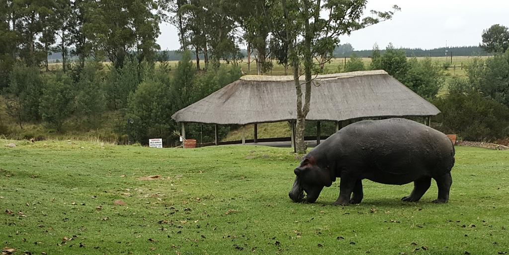 Plettenberg Bay Game Reserve: The Baroness Safari Lodge Εξωτερικό φωτογραφία